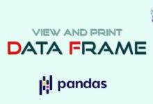 مشاهده و چاپ DataFrame